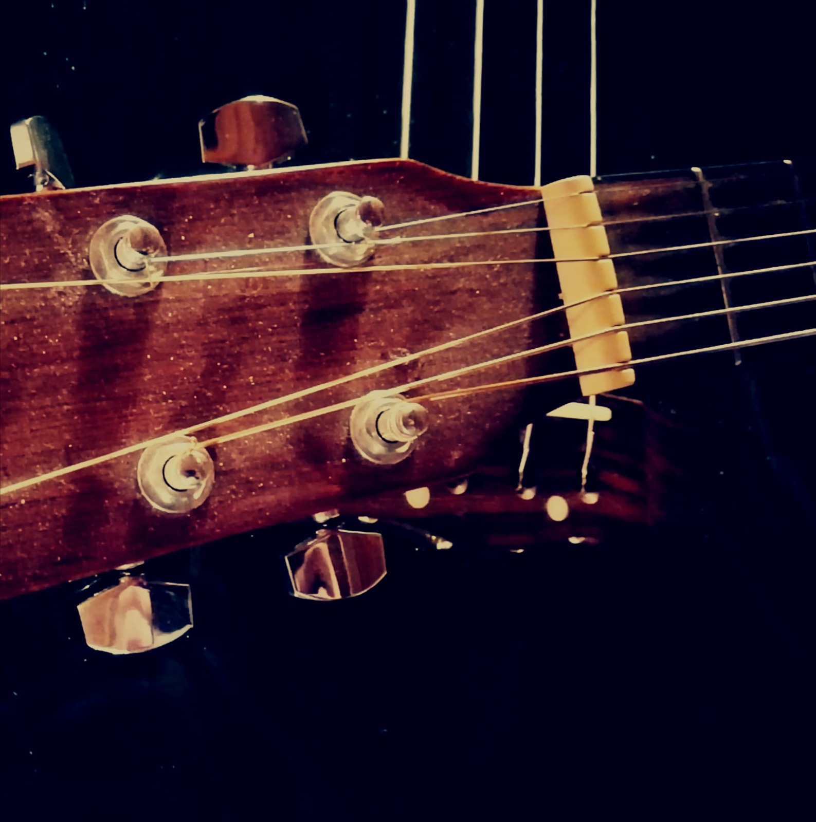 Paletta chitarra